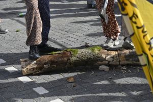 2026 – Maandag